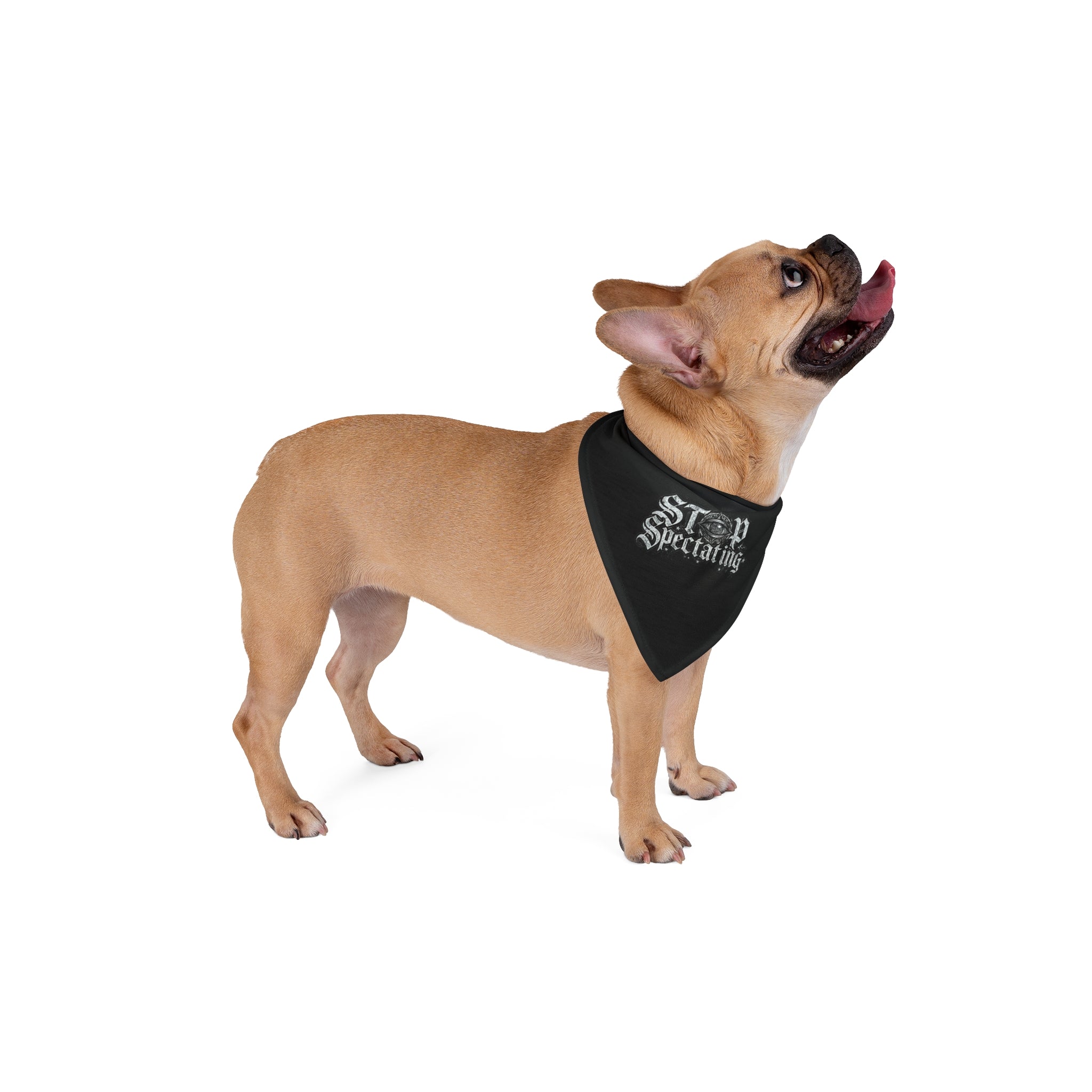 Pet Bandana — 'Stop Spreading' Gothic Script Dog Bandana, White