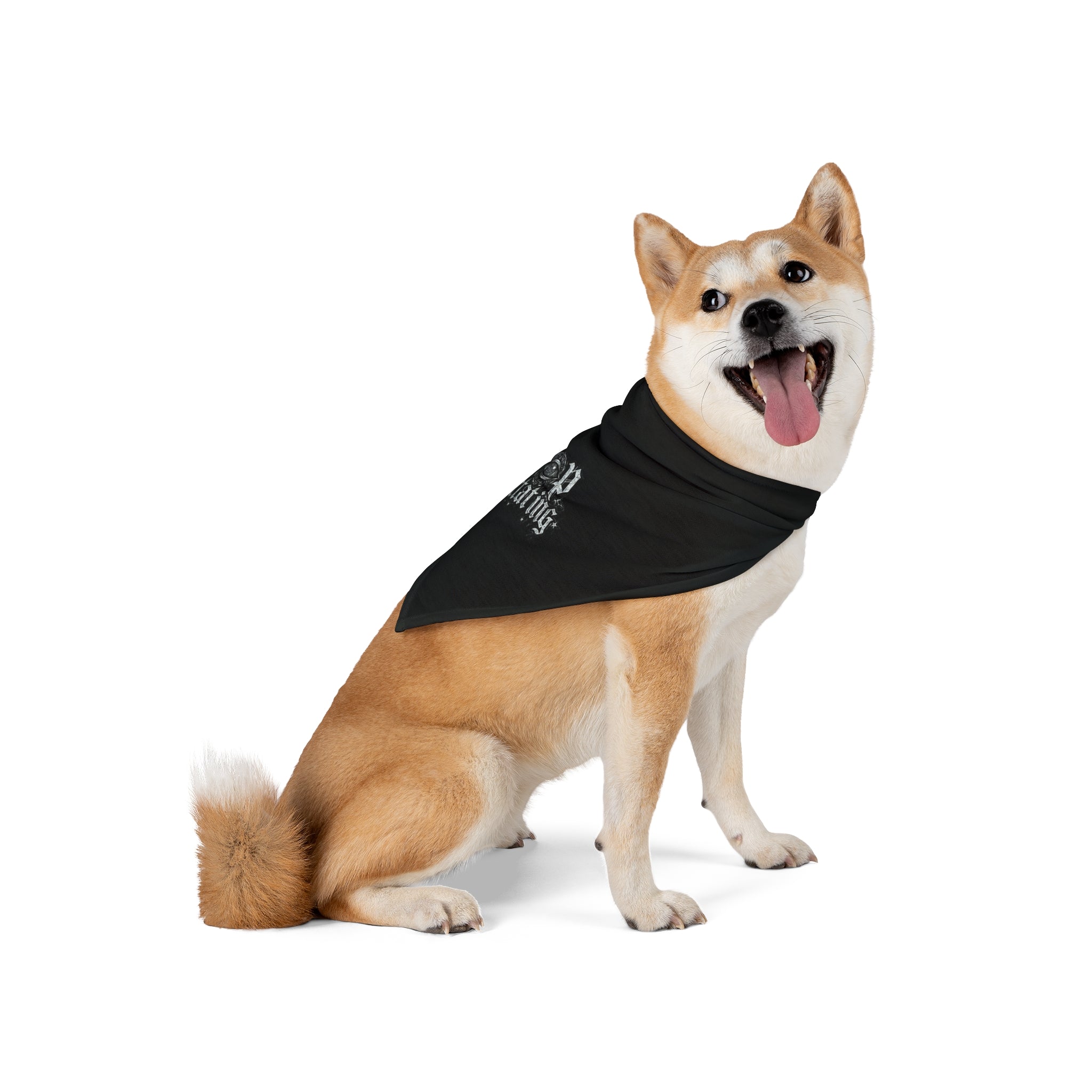 Pet Bandana — 'Stop Spreading' Gothic Script Dog Bandana, White